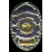 SOUTH PASADENA, CA POLICE DEPARMENT BADGE PIN